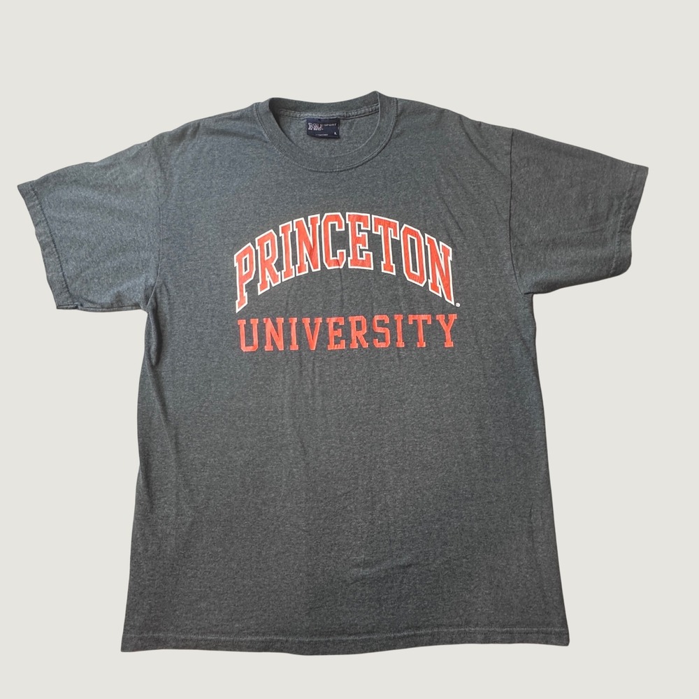 Vintage Princeton T-Shirt Mens Large Gray Blue NCAA Ivy League MV Sport